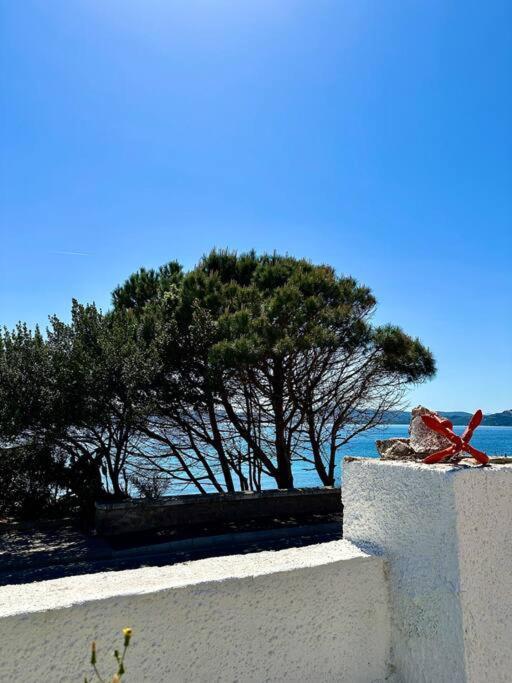 Villetta La Conchiglia La Maddalena  Buitenkant foto