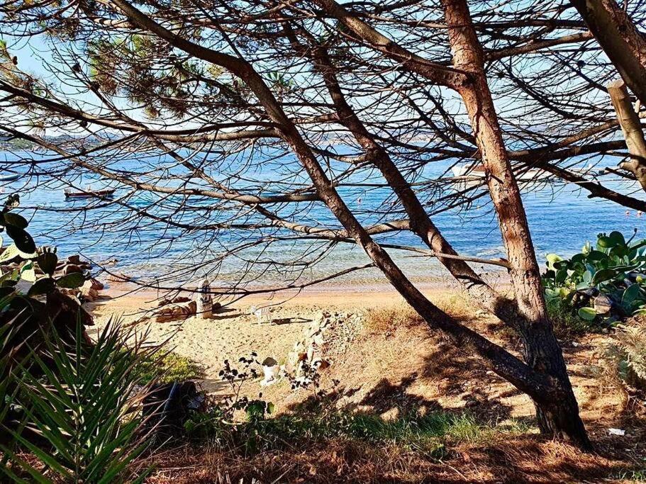 Villetta La Conchiglia La Maddalena  Buitenkant foto